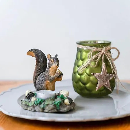 Eekhoorn Chalet Hulshorst