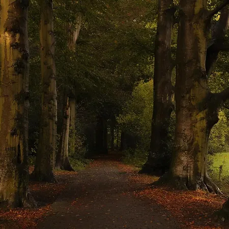 Horská chata Eekhoorn Hulshorst