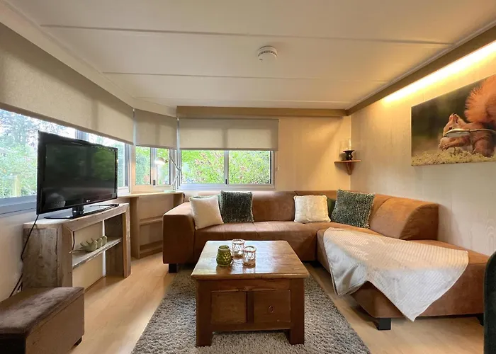 Eekhoorn * Hulshorst