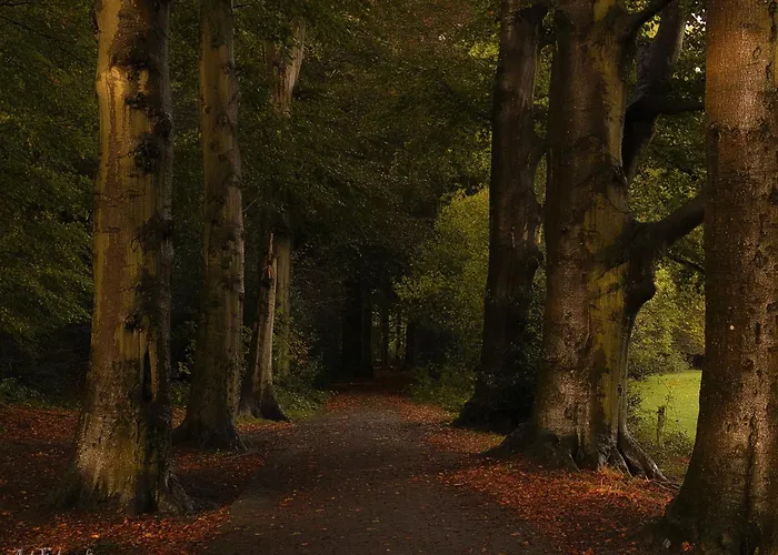 Σαλέ Eekhoorn Hulshorst